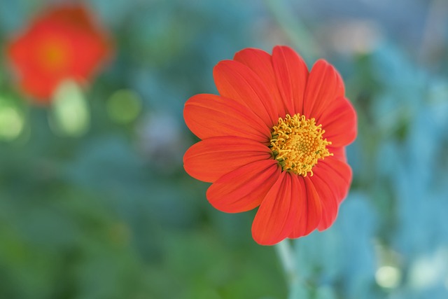 2025年3月31日 NBA：森林狼vs活塞大战赛况详解.