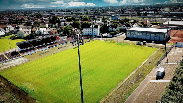 第六的位置 第六的位置