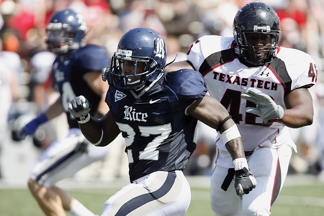 利亚的军事 利亚的军事