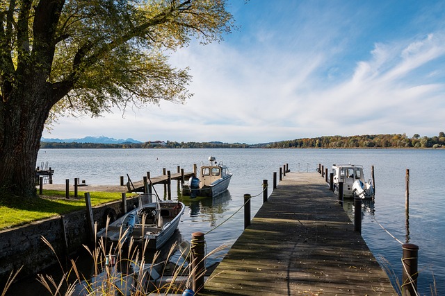 这名球星的 这名球星的